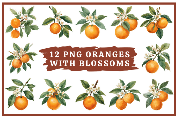 Download Oranges Watercolor Clip Art Bundle #31 - Clip art Collection