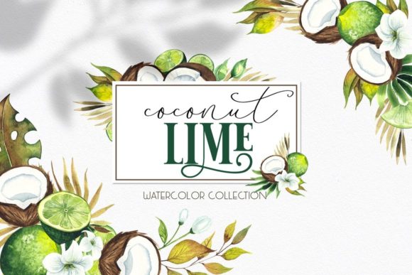 Download Watercolor Coconut Lime Collection - Watercolor coconut Collection